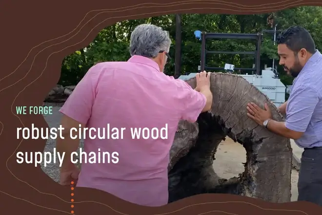 Two men examining a large tree trunk with text We forge robust circular wood supply chains