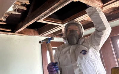 Building Your Brand House