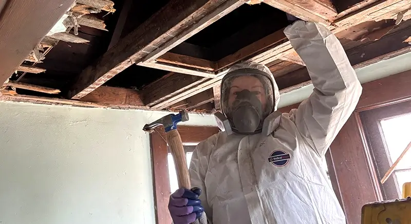 Woman wearing full protection suit and face mask respirator, holding a hammer as she demolishes a ceiling overhead